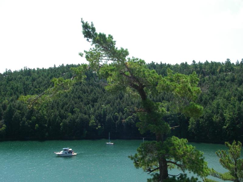 IMGP0468