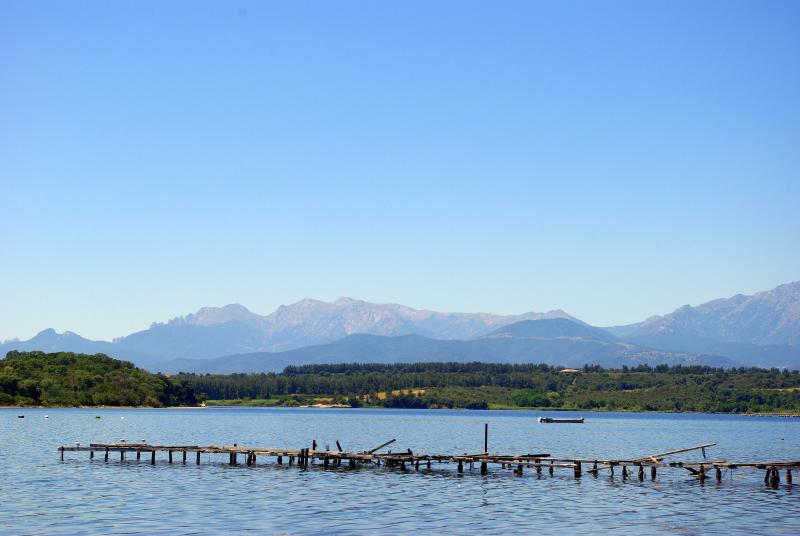 IMGP2339