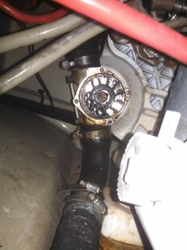 impeller