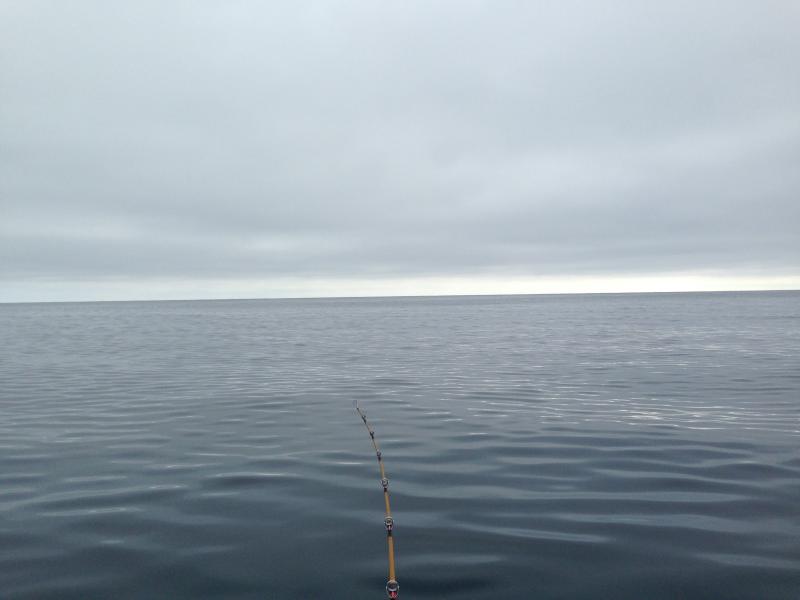 knock out day on the water