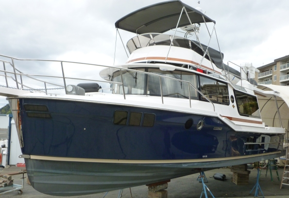 Livingston R 41