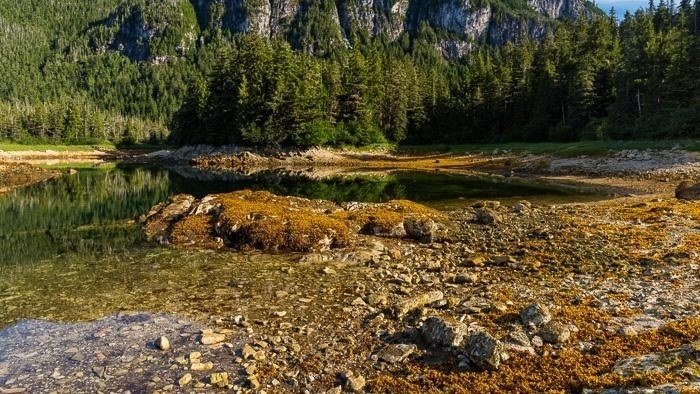 Low Tide-2