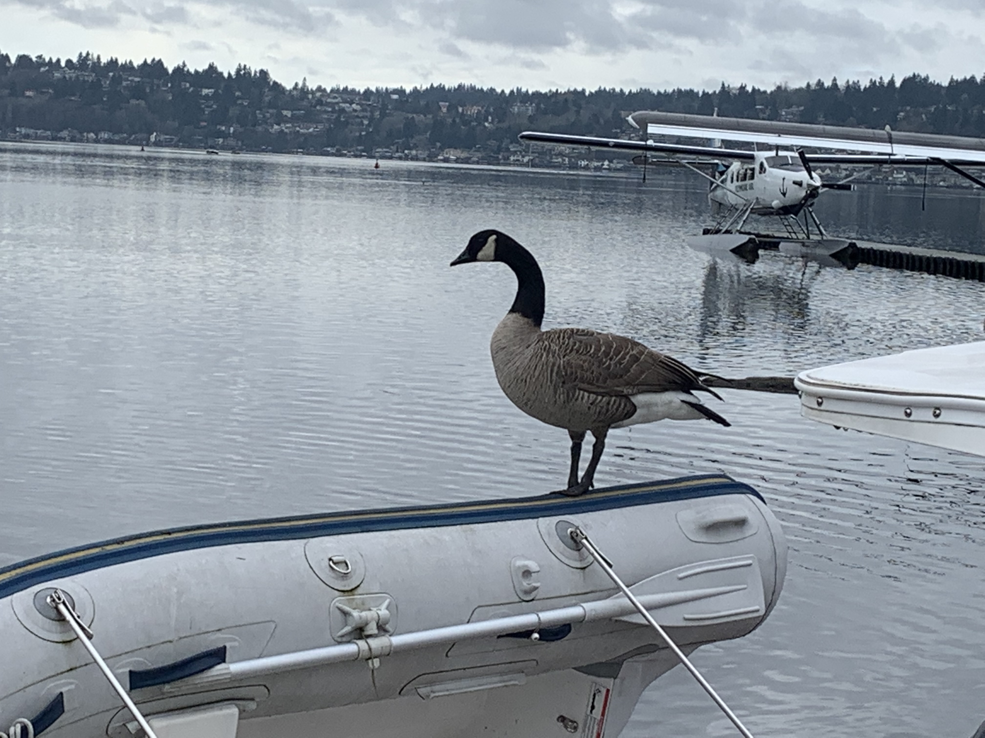 Mastercraft.jpeg