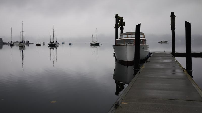 Mimi Picture at Vashon Nov. 7, 2010