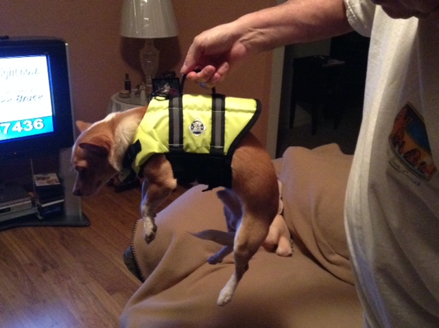 Monty in PFD