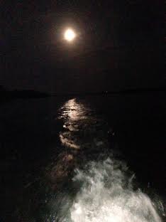 moonbeam running