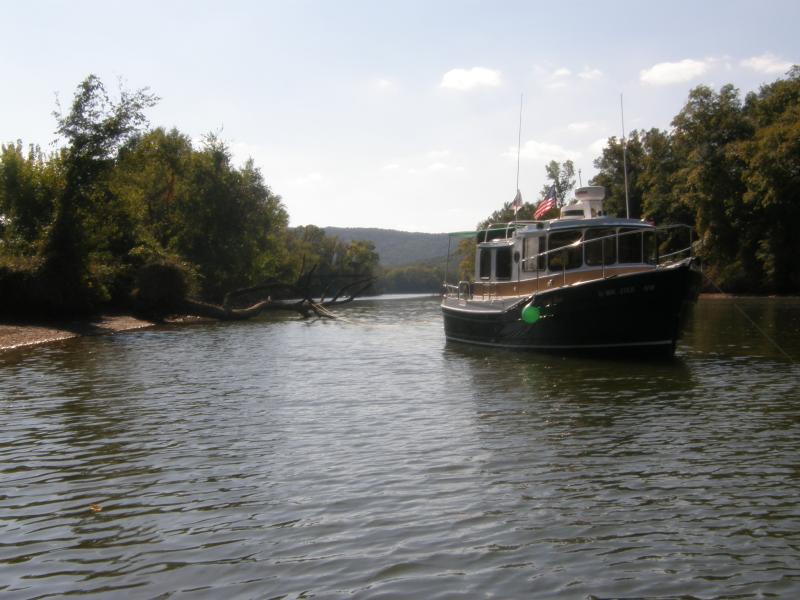 More Anchoring Opportunities