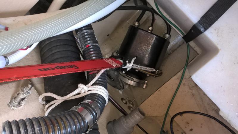 motor on webbing