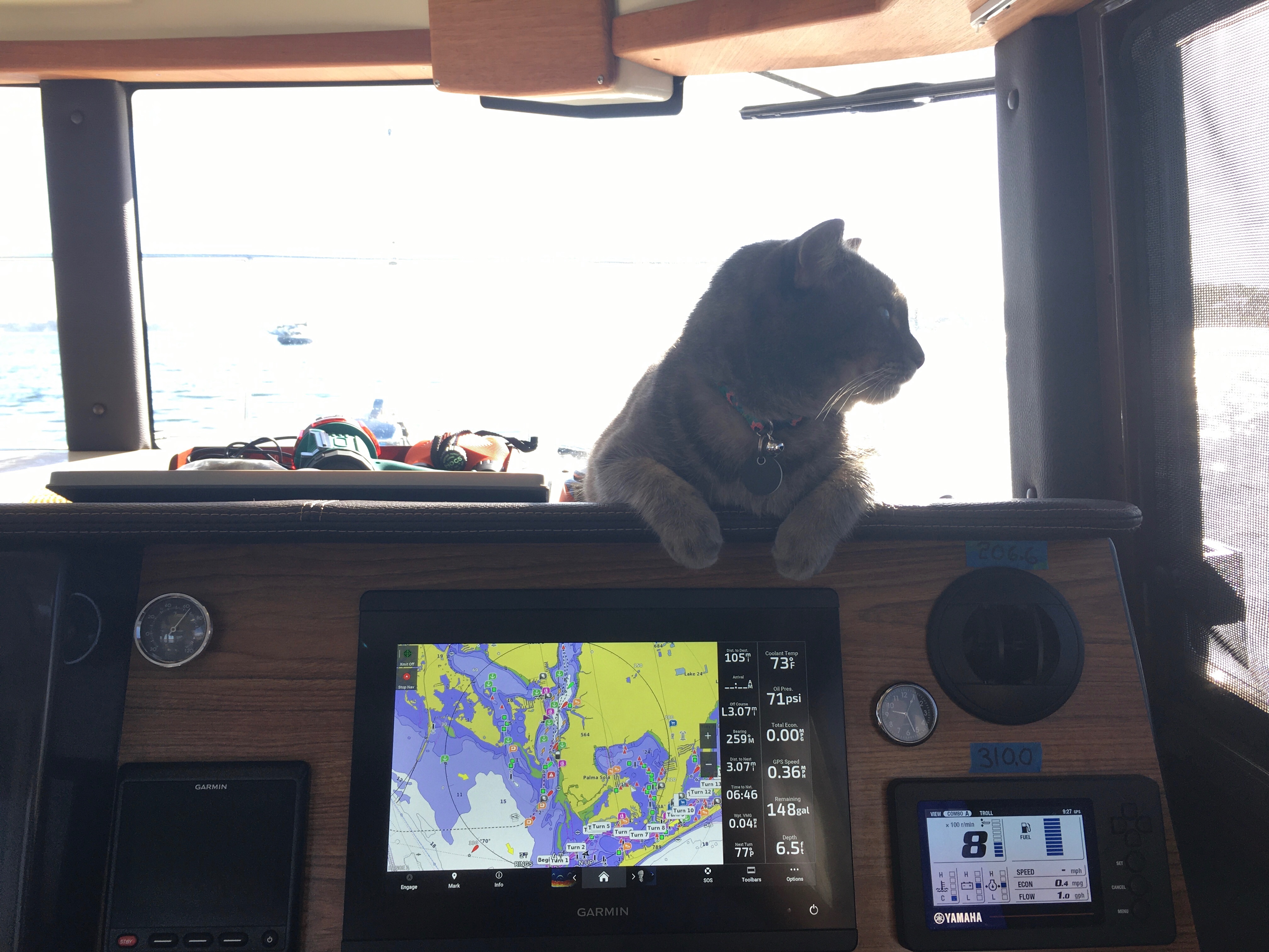 MV Tern.jpeg