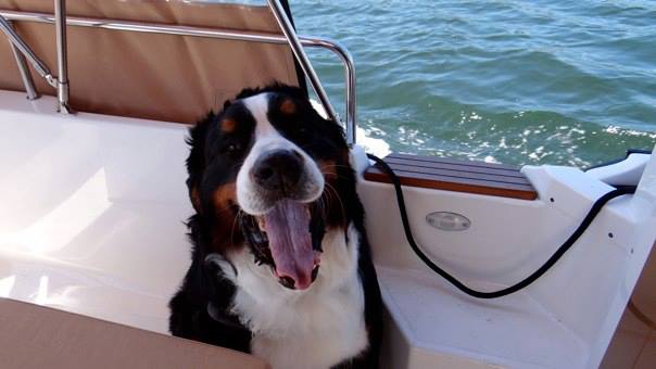 On board with Titan