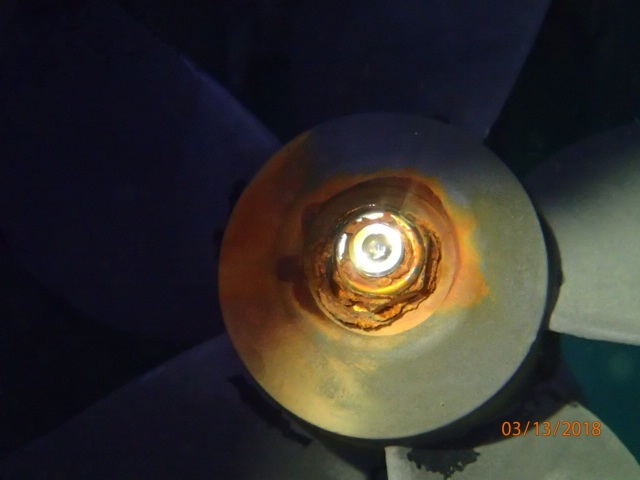 P3137789