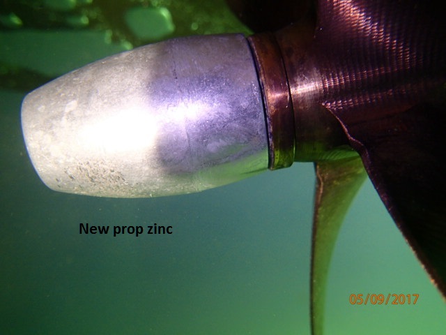 P5091465