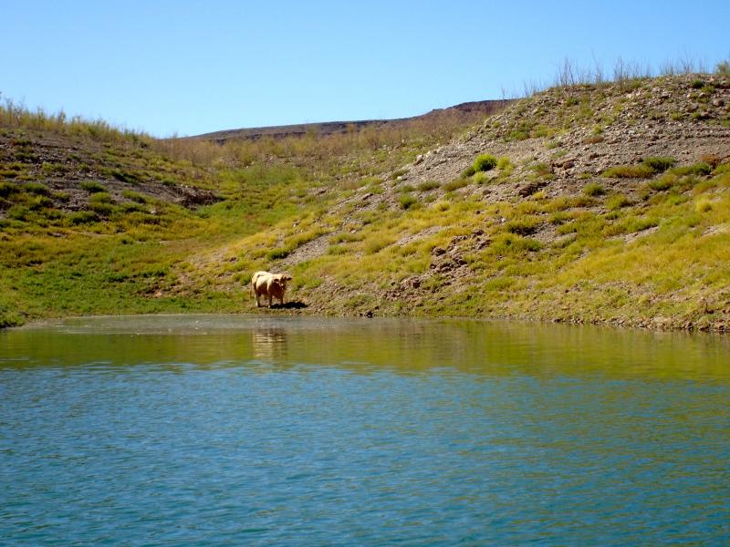 PA050114