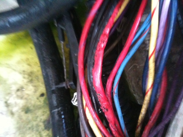 photo-9