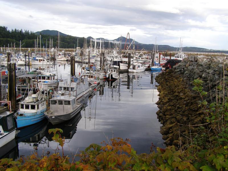 Port McNeil harbor with breakwater