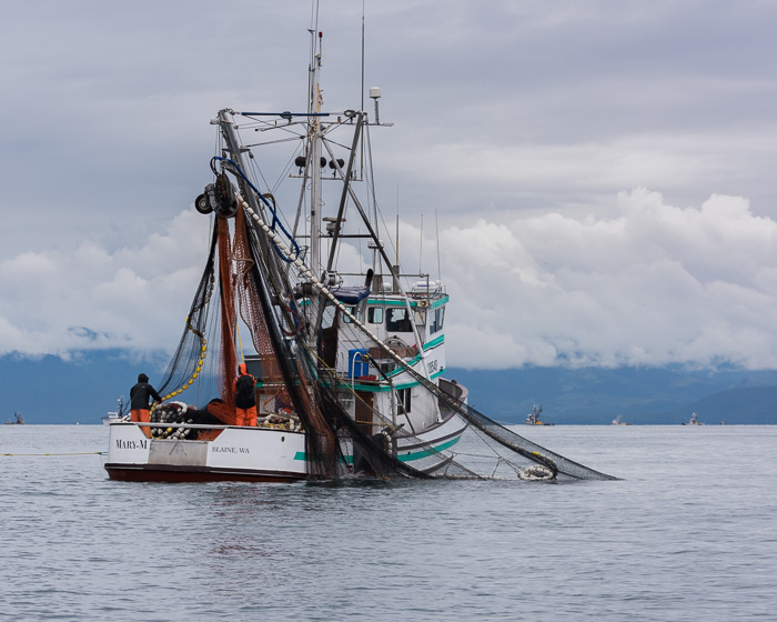 Purse seiner