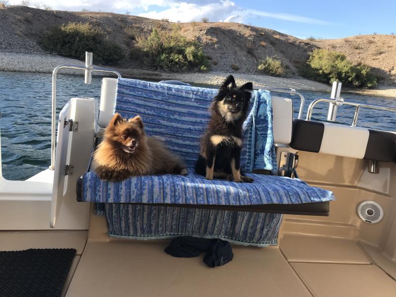 Ready to go ashore.