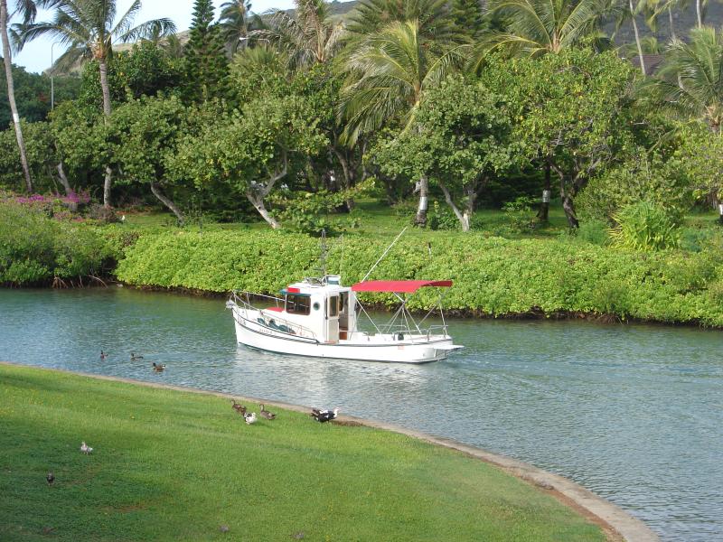 Rounding Duck Island