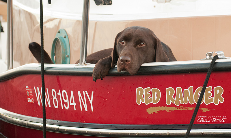 Sable draped over Red Ranger gunnel