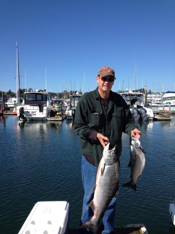 SALMON2