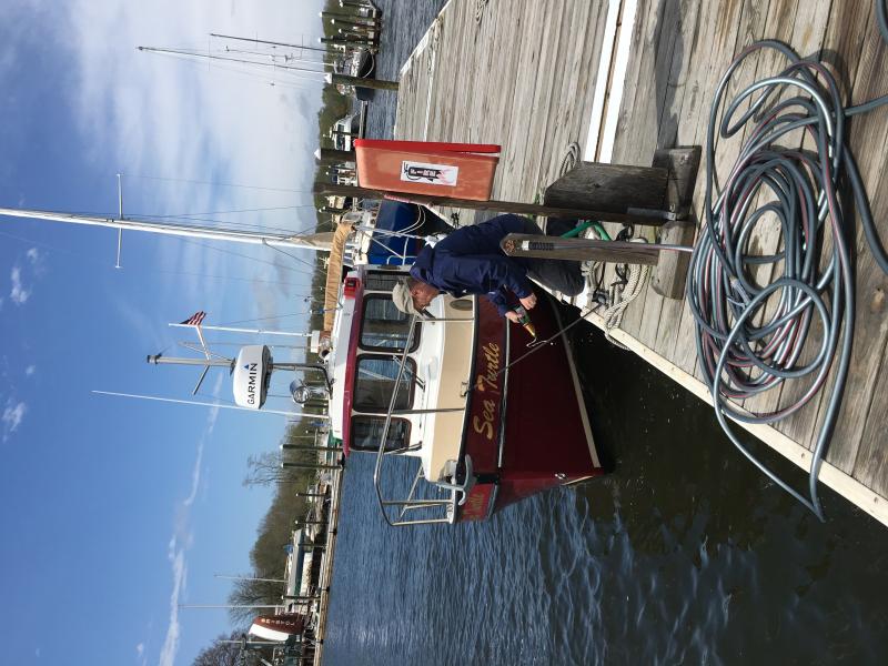 Sea Turtle Christening