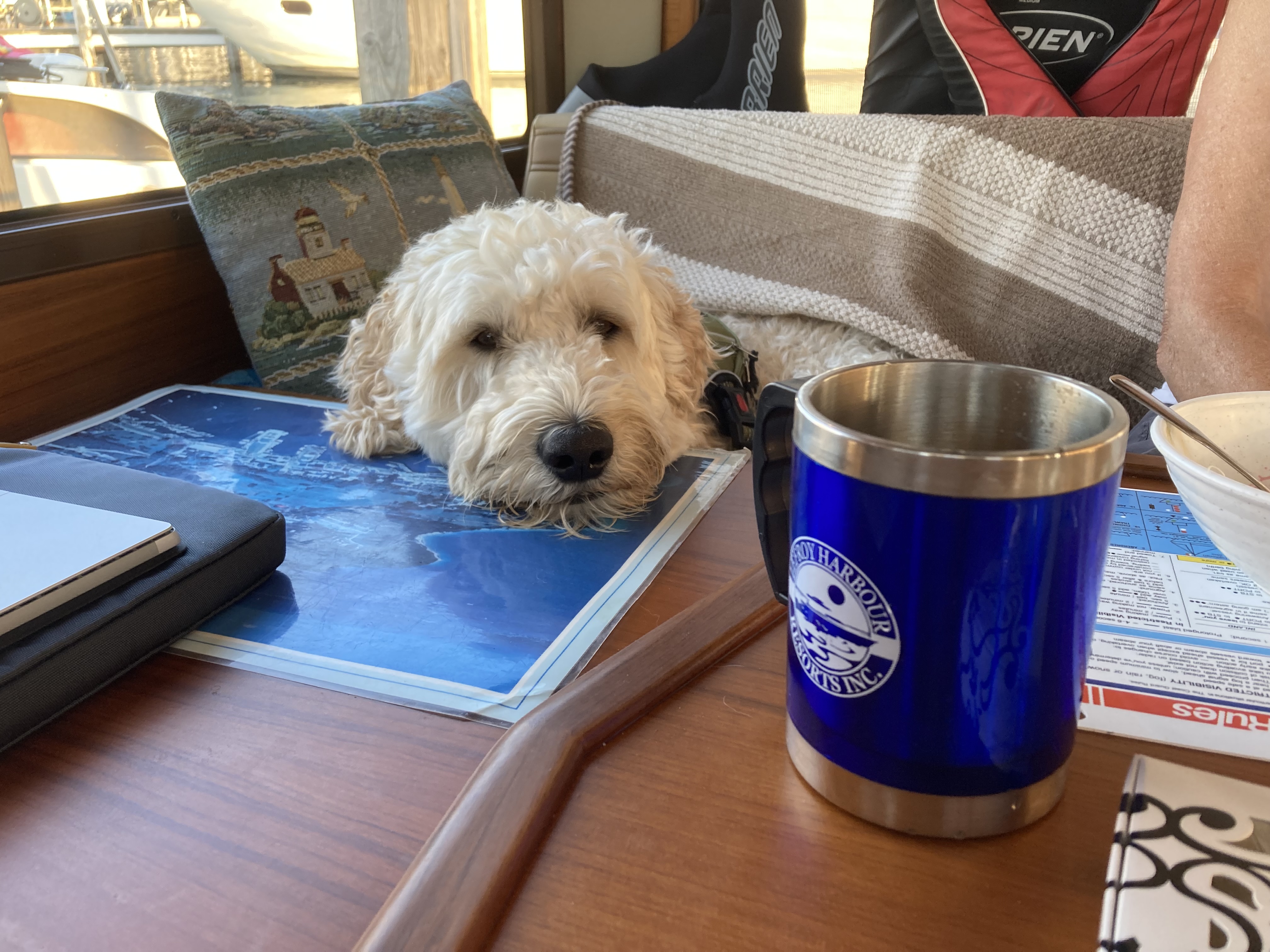 Second mate relaxing at galley table.jpg