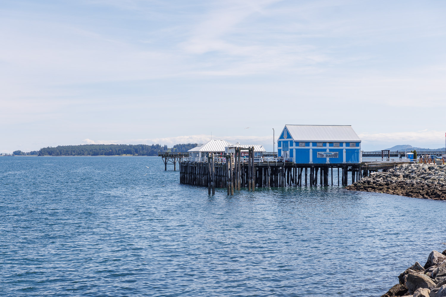 Sidney BC - Gulf Island Cruise 2024 - 10.jpg