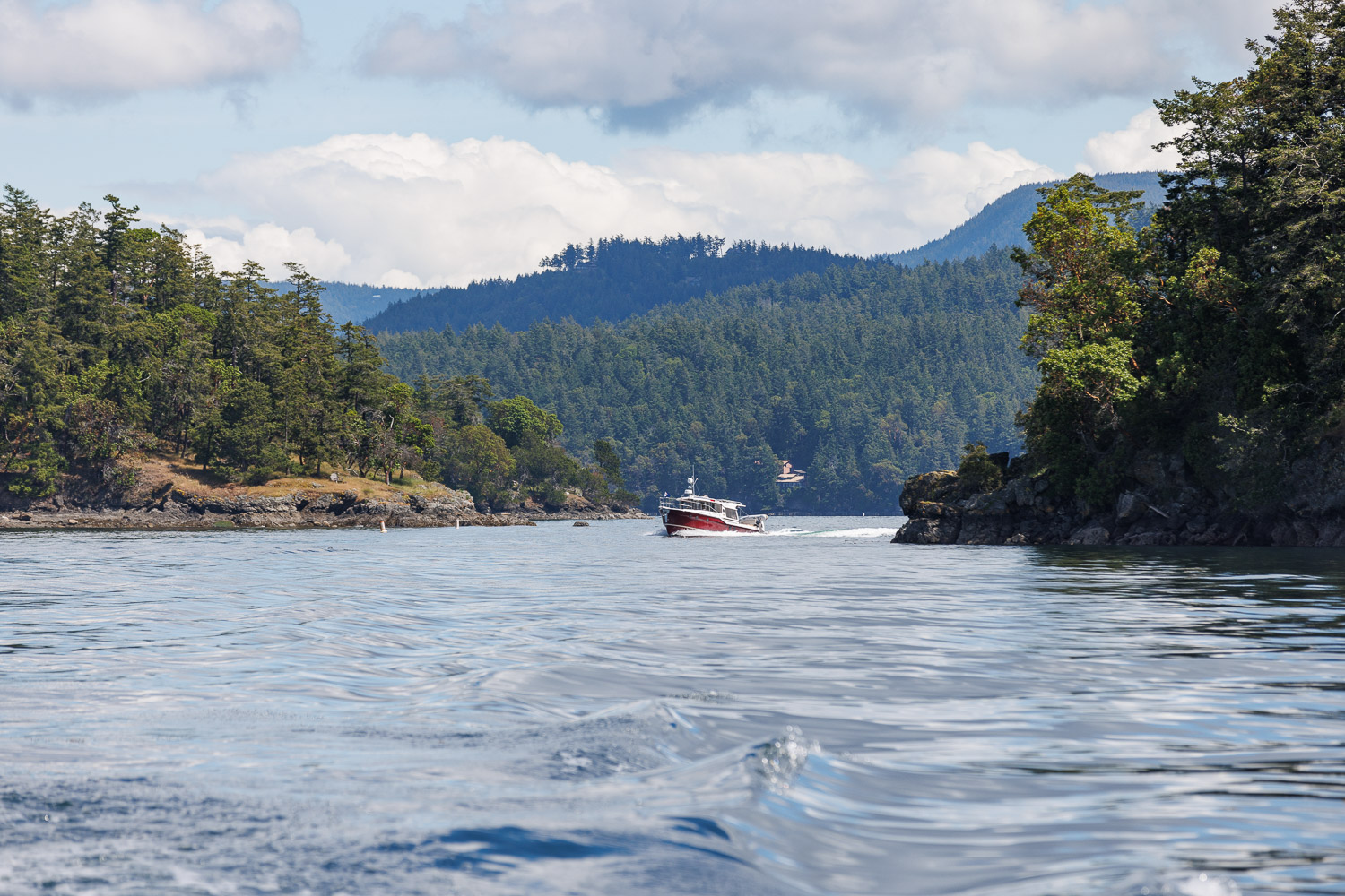 Sidney BC - Gulf Island Cruise 2024 - 7.jpg