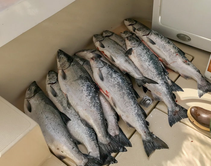 Silvers