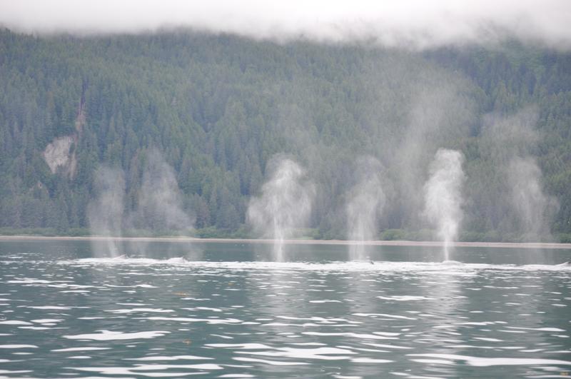 Synchronized spouts
