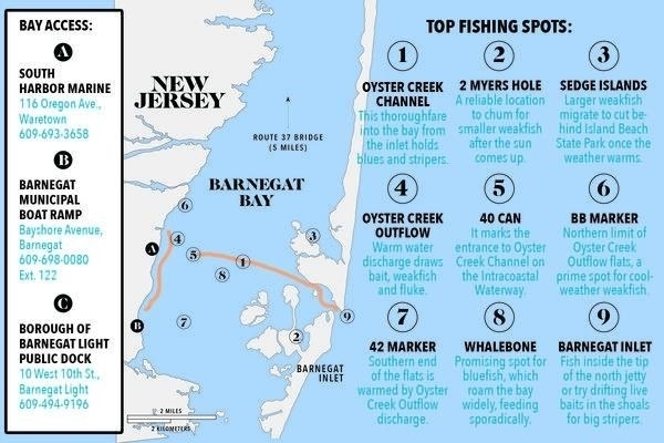 Top Fishing Barnegat Bay