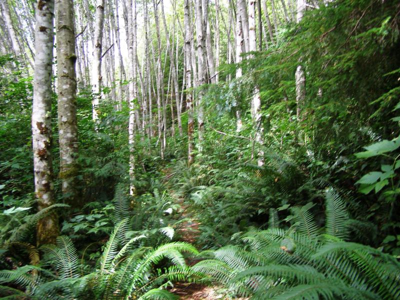 Trail at Lagoon Cove