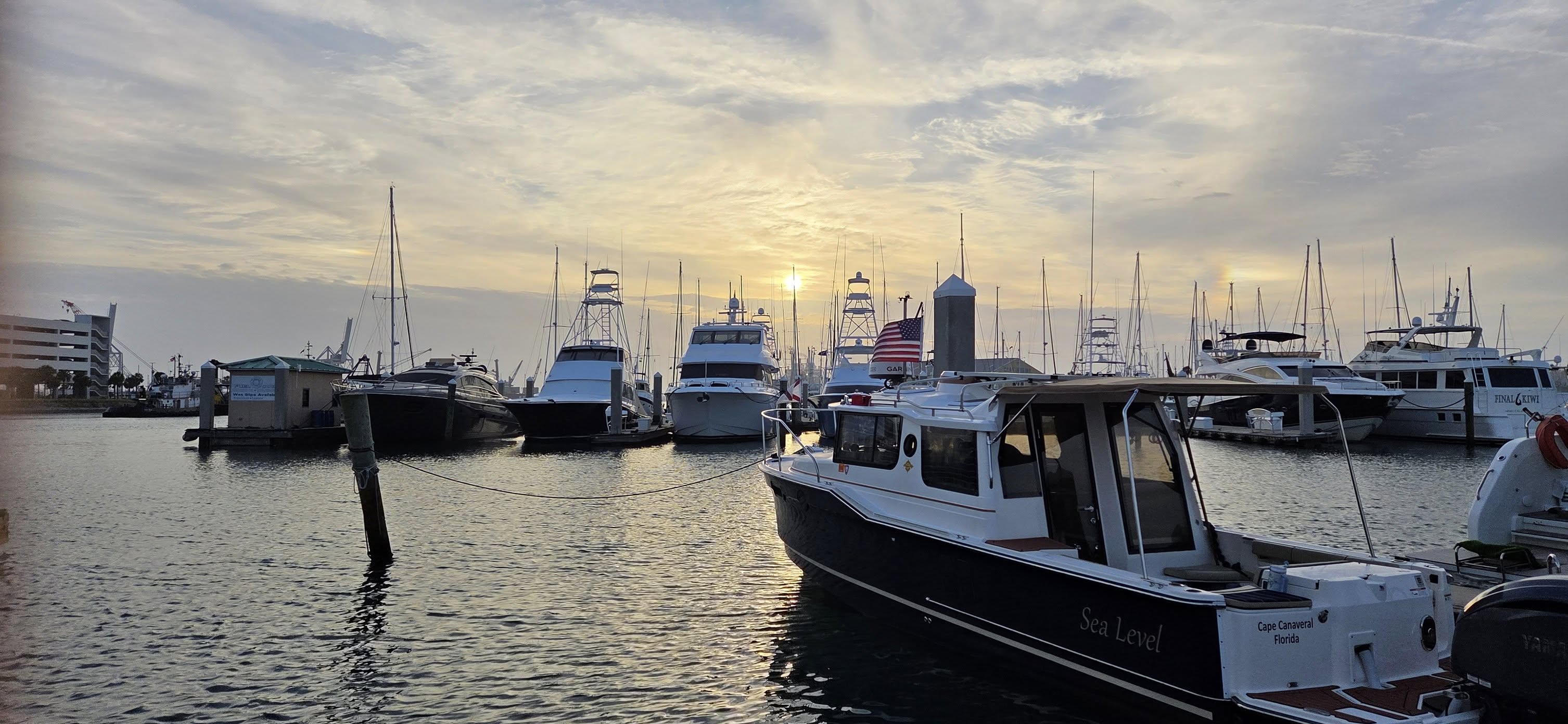 tug in cape marina.jpg