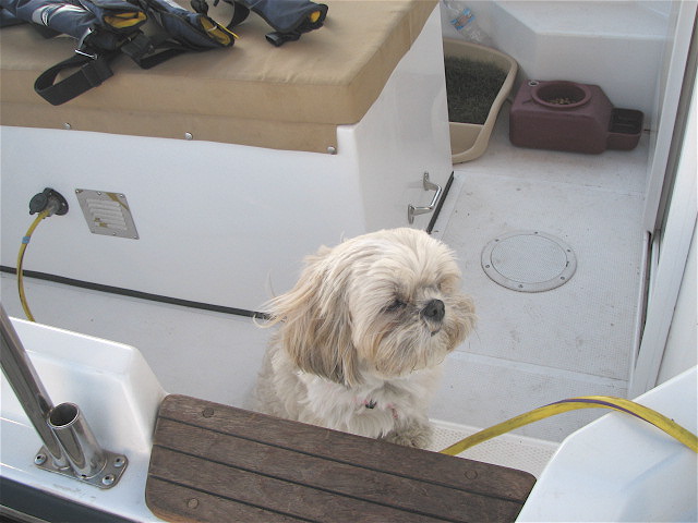 Tugly on April 29, 2008, 6:32 am