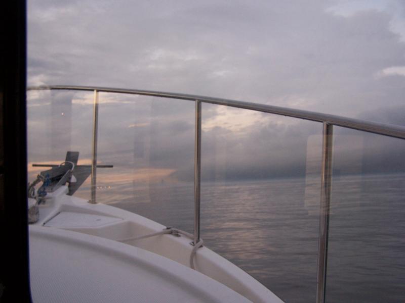 vaca 2009 006