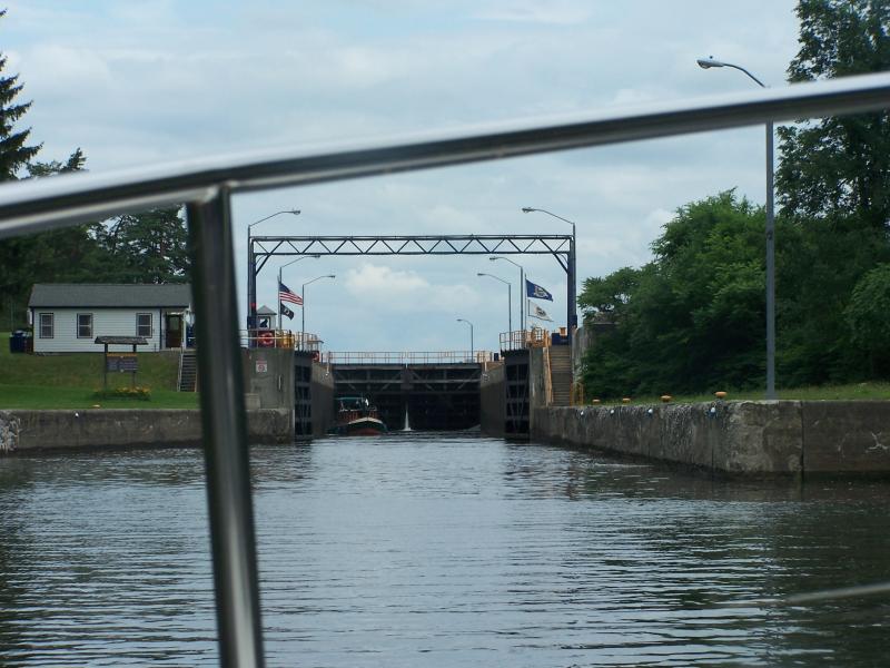 vaca 2009 150