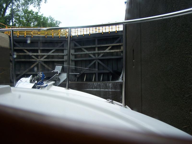 vaca 2009 209