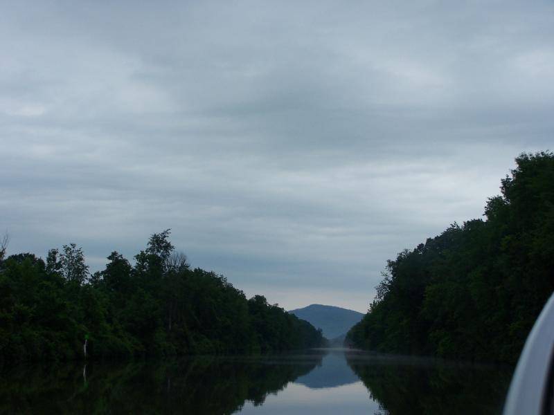 vaca 2009 229