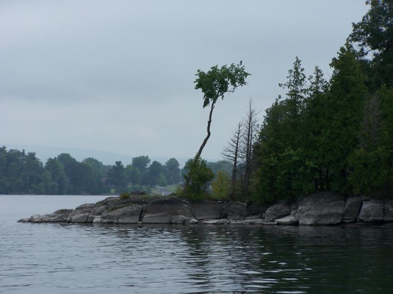 vaca 2009 324