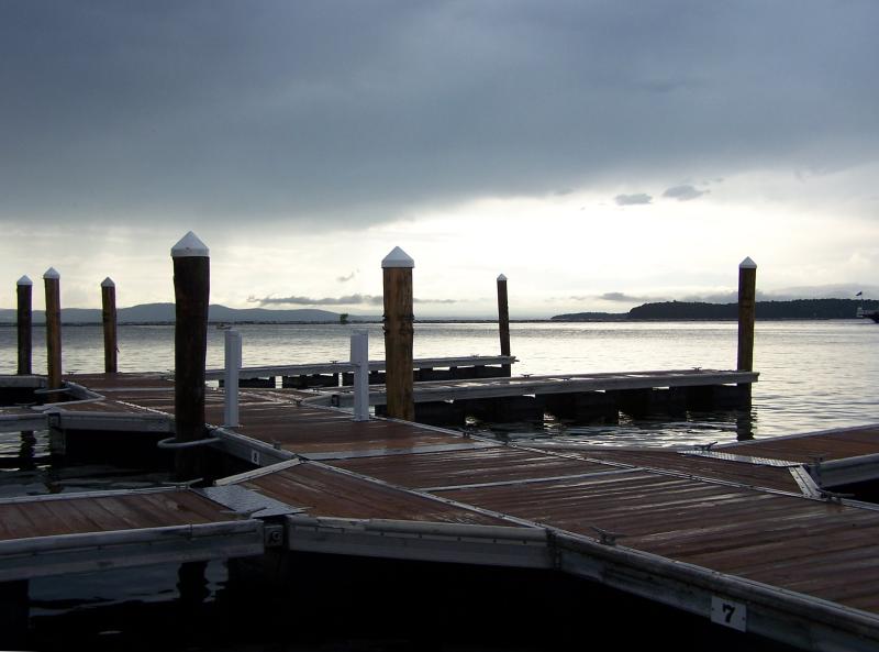 vaca 2009 341
