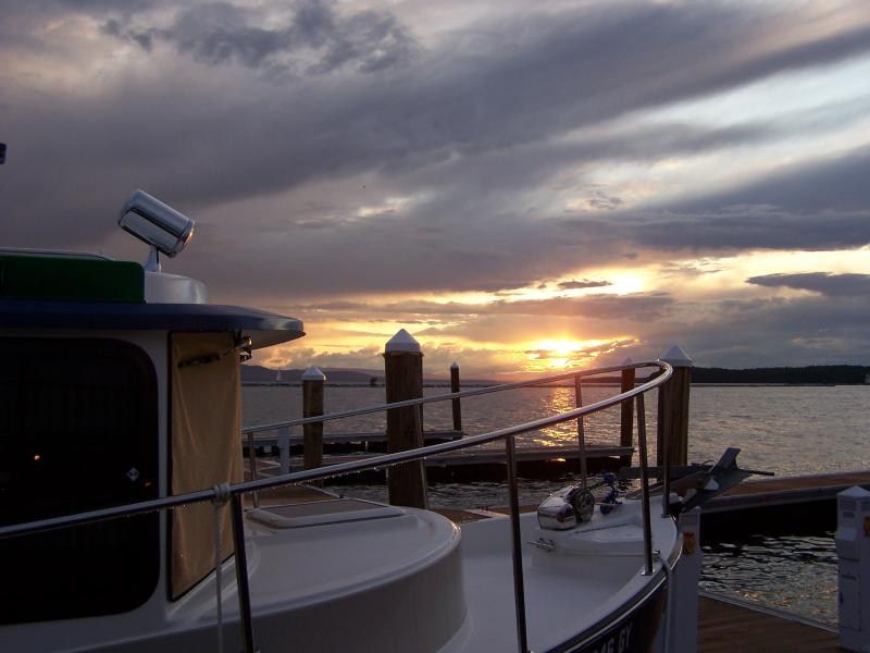 vaca 2009 374