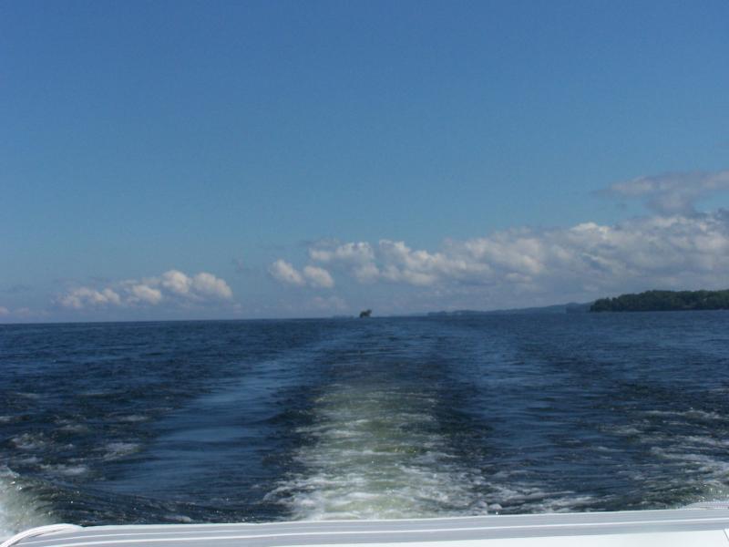 vaca 2009 410