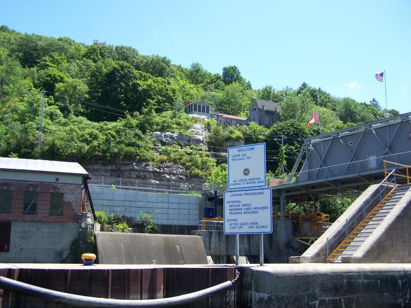 vaca 2009 467