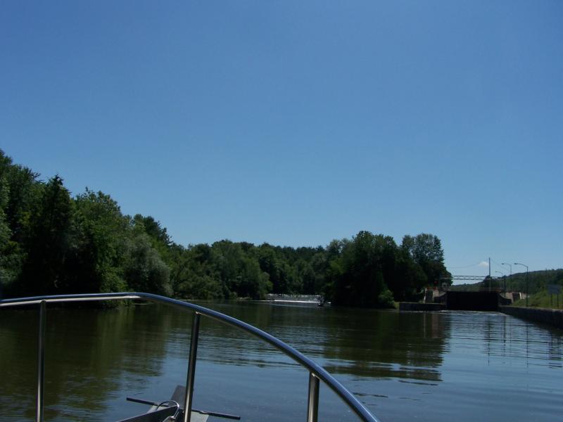 vaca 2009 472