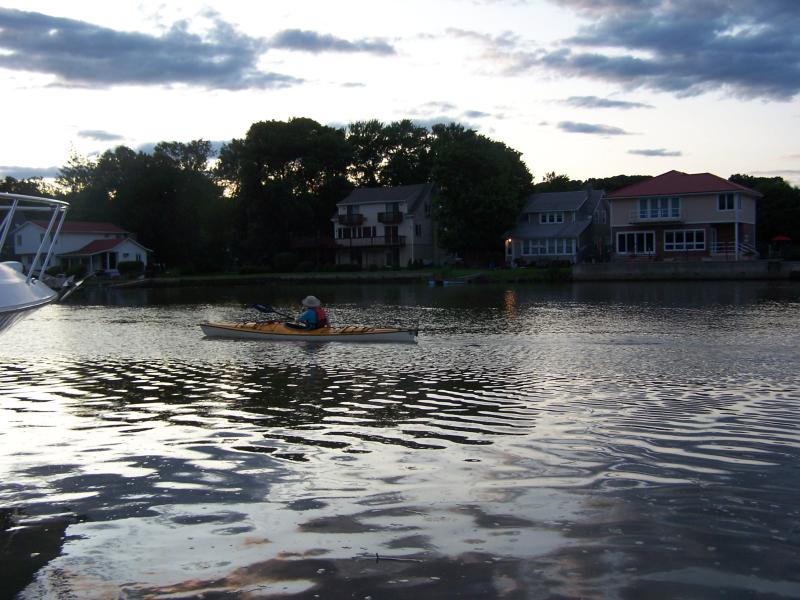 vaca 2009 516