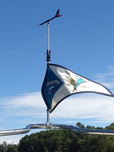 Wind vane