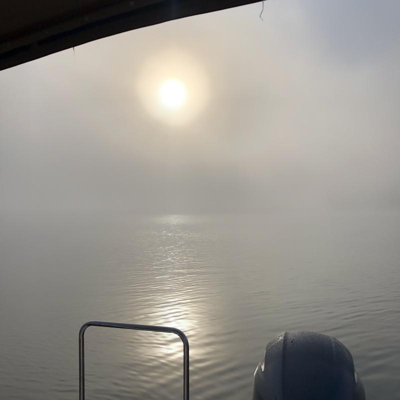 Woke up to heavy fog Barkley Lake
